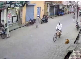 रुड़की,छोटी बच्ची की साइकिल से टक्कर लगने से गुस्सा हुआ मौलवी जड़ दिया थप्पड़ जमकर चले लाठी डंडे