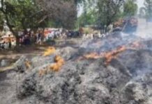 देवबंद। गोपाली गांव में गन्ना कोल्हू में पड़ी पत्ती में भयंकर आग लगने से क्षेत्र में अफरा-तफरी