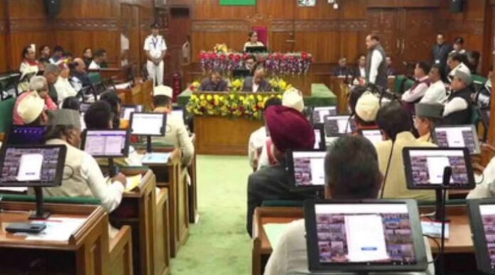 Screenshot_2025_1105_204952