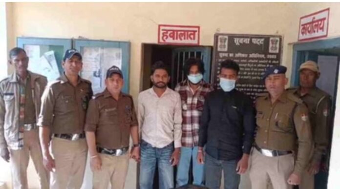 Screenshot_2025_1119_222553