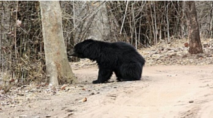 Screenshot_2025_1218_203810